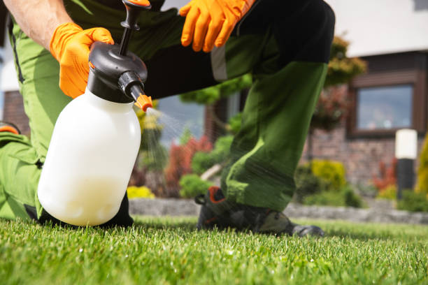 Best Best Pest Control Companies  in Holly Springs, NC