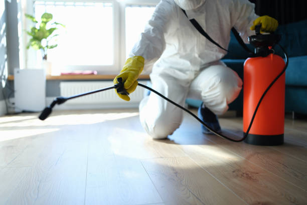 Wasp Removal Services in Holly Springs, NC