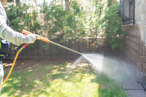 Best Pest Control Near Me  in Holly Springs, NC