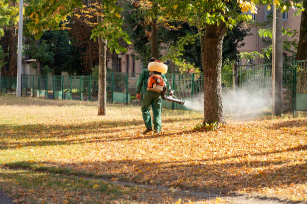 Best Pest Control Treatment  in Holly Springs, NC